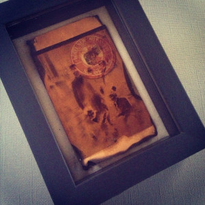 Holly Hock Vintage Film Shadow Box