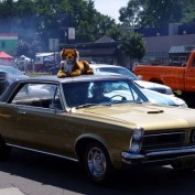 Woodward Dream Cruise 2013 - Holly Hock